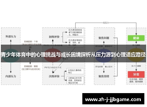 青少年体育中的心理挑战与成长困境探析从压力源到心理适应路径 青少年体育中的心理挑战与成长困境探析从压力源到心理适应路径